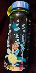 Girl Scouts water bottle 2017collection